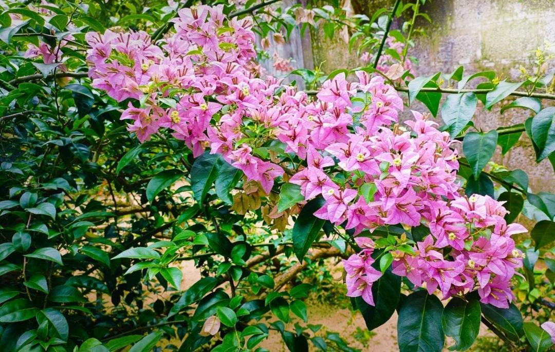 Photo of Outdoor in Mararikulam