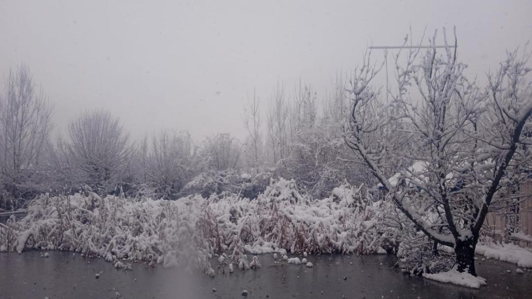 Photo of Others in Dal Lake