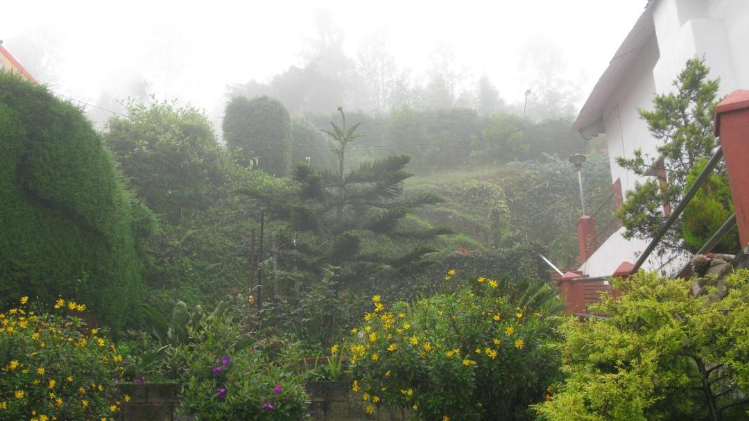 Photo of Others in Kotagiri