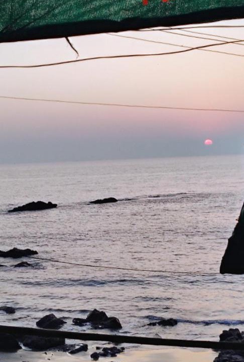 Photo of Others in Arambol