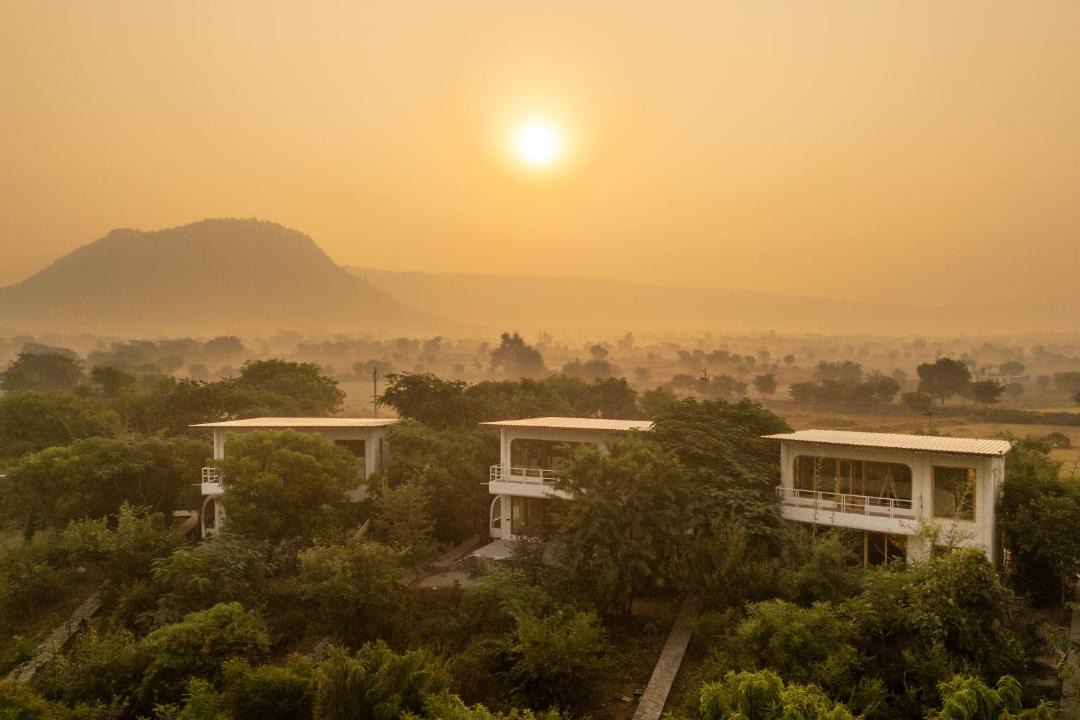 Photo of Others in Sariska