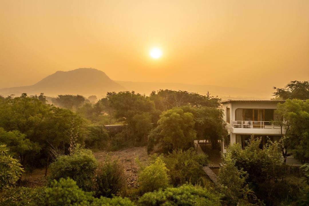 Photo of Others in Sariska