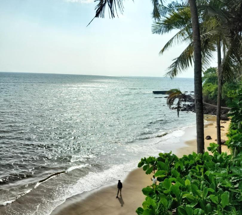 Photo of Others in Kannur