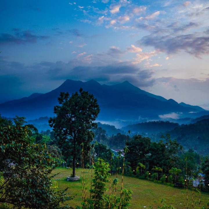 Photo of Others in Kalpetta