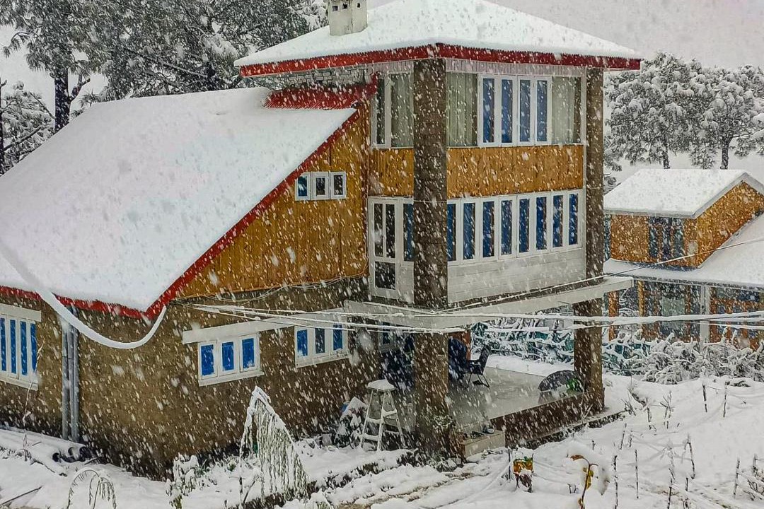 Photo of Others in Patnitop