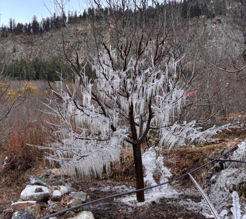Photo of Others in Sangla
