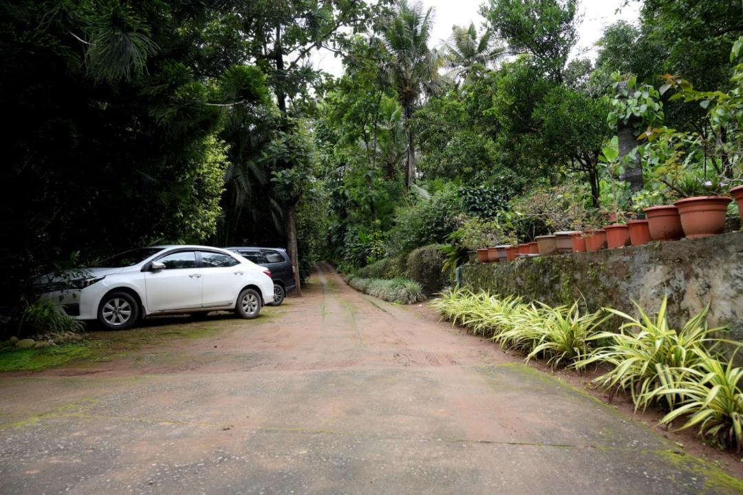 Photo of Others in Devikolam