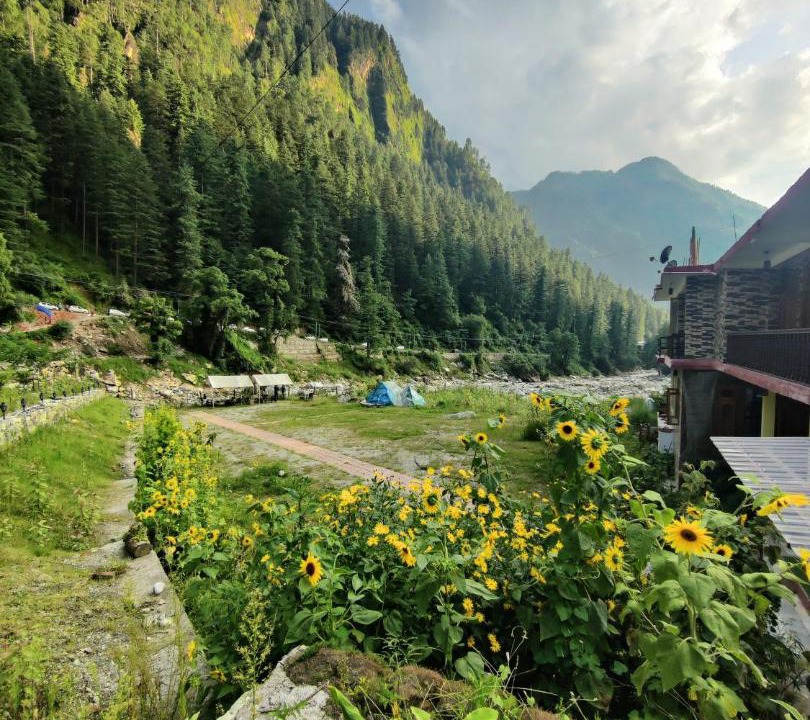Photo of Others in Kasol