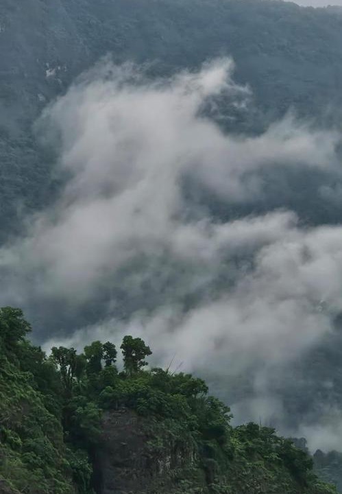 Photo of Others in Devikolam