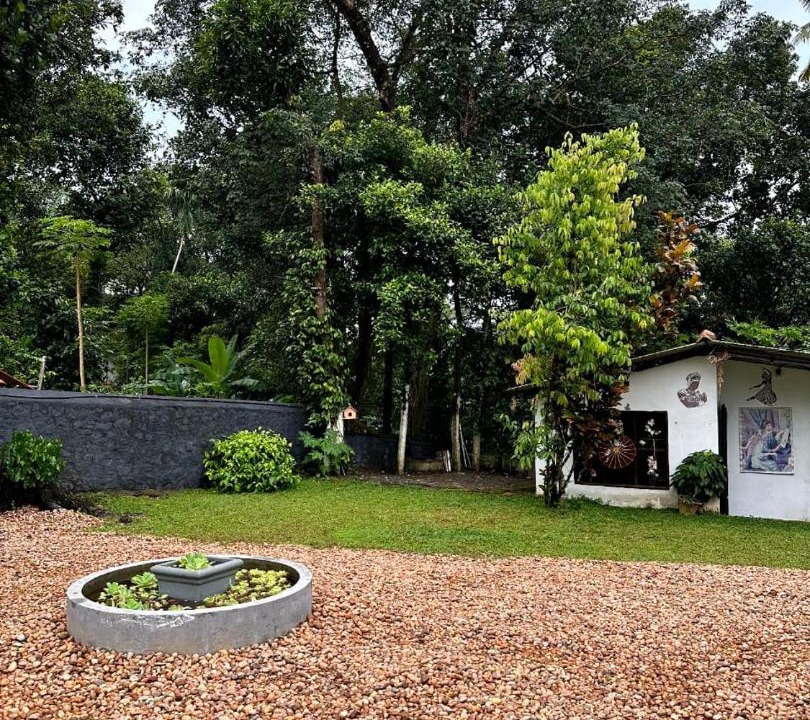 Photo of Others in Tiruvalla