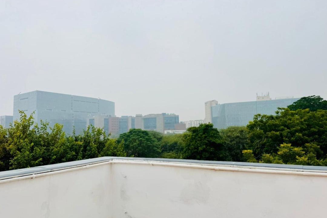 Photo of Others in DLF Phase 3