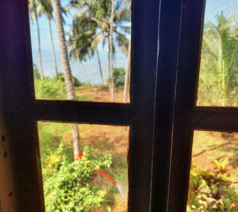 Photo of Others in Kannur