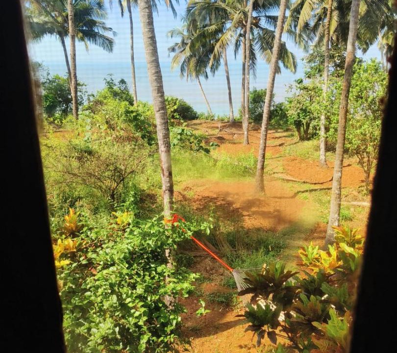 Photo of Others in Kannur