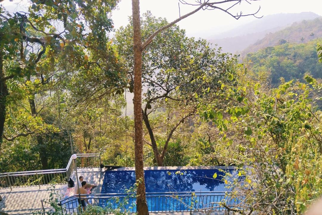 Photo of Others in Elappara