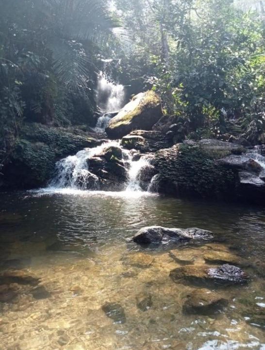 Photo of Others in Adimaly