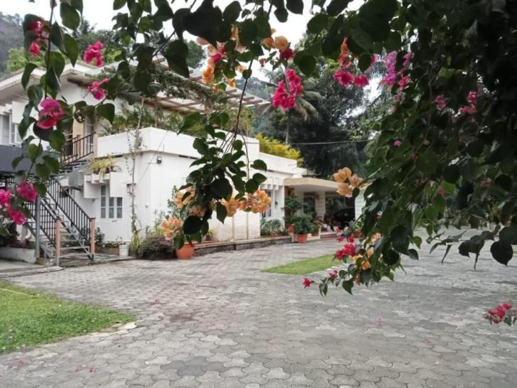 Photo of Others in Adimaly