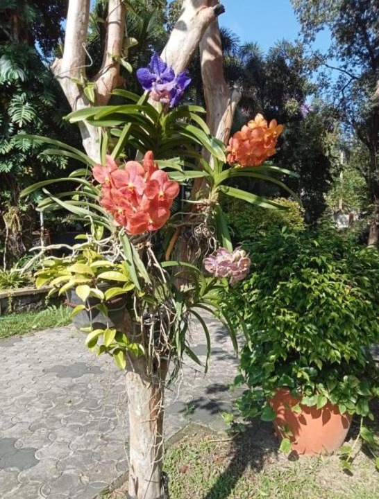 Photo of Outdoor in Adimaly