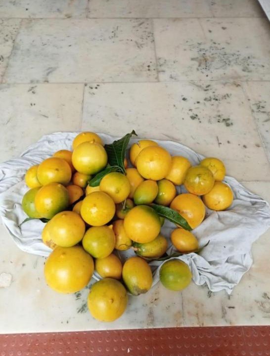 Photo of Others in Adimaly