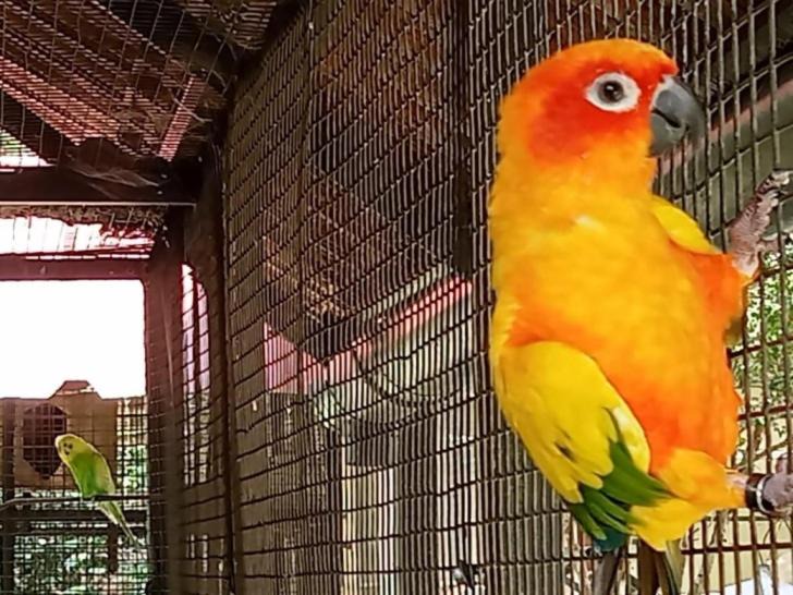 Photo of Others in Adimaly