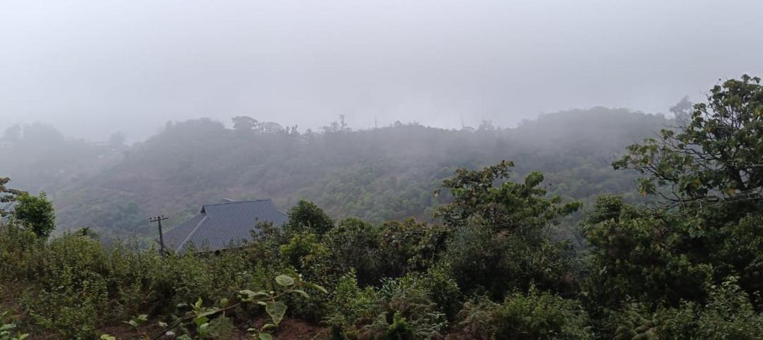Photo of Others in Vagamon