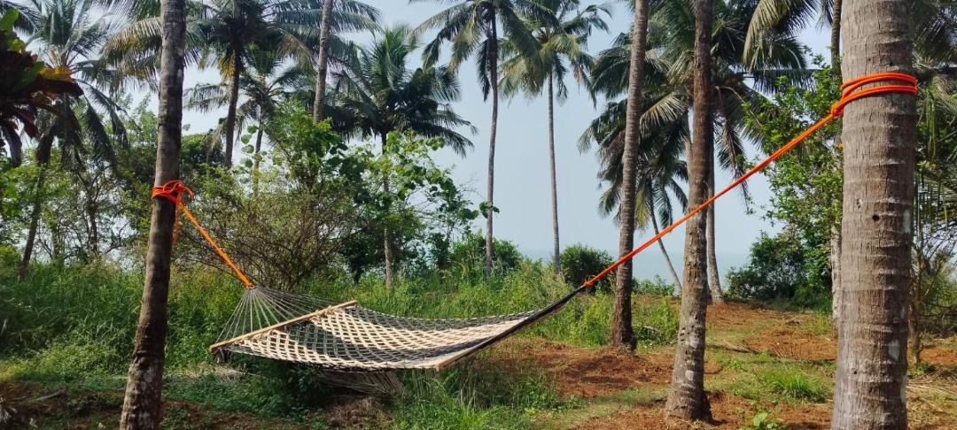 Photo of Others in Kannur