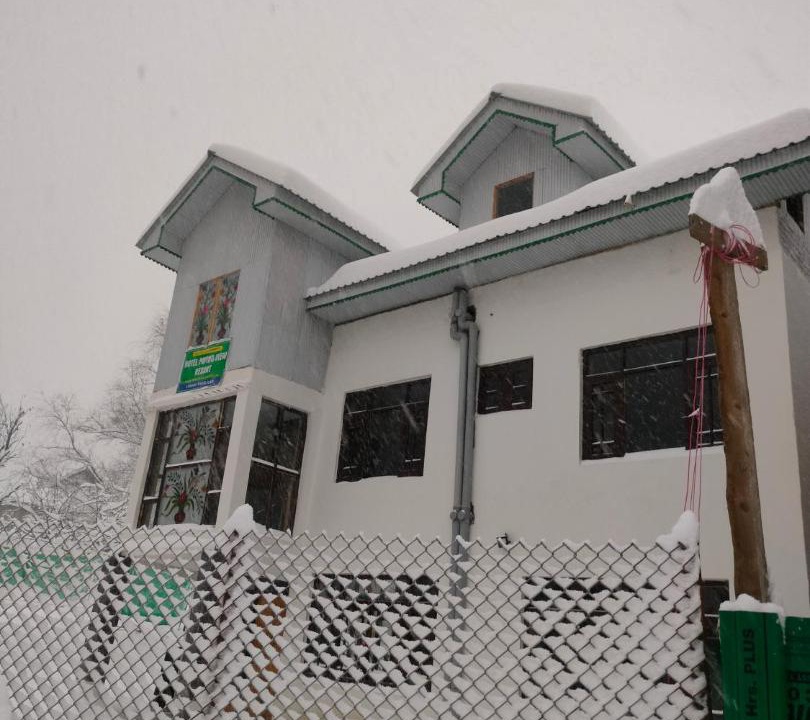 Photo of Others in Pahalgam