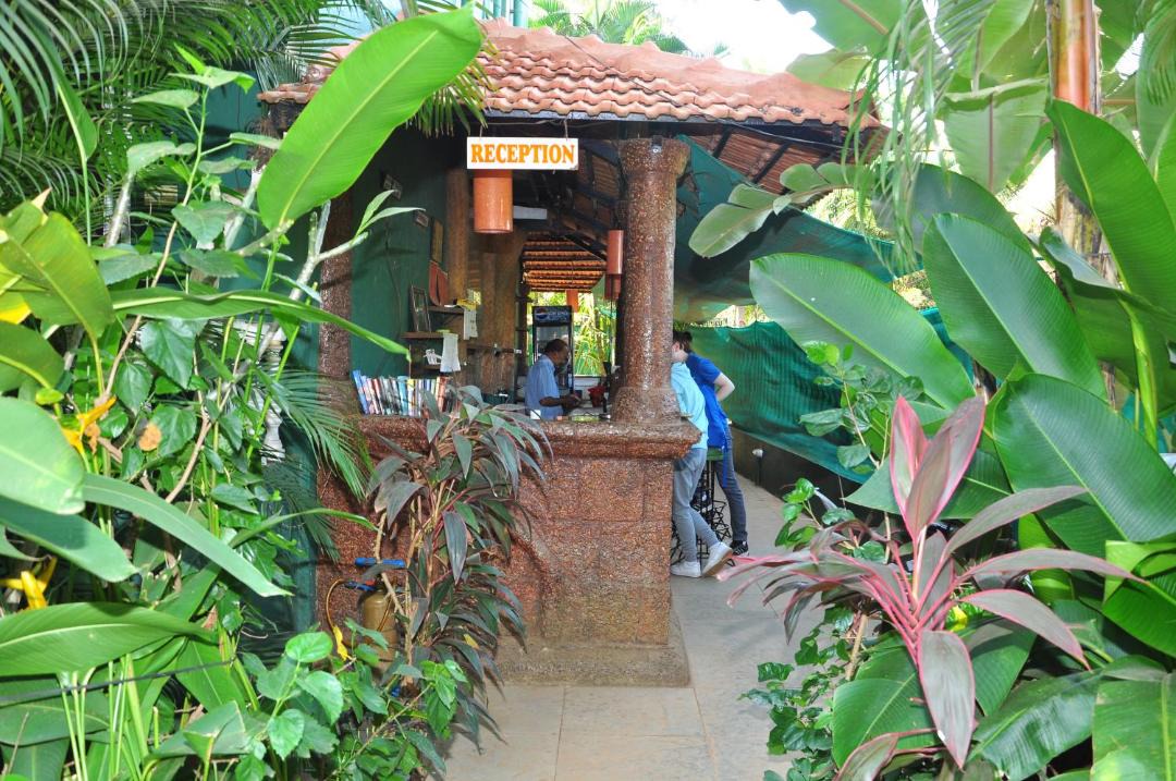 Photo of Others in Calangute