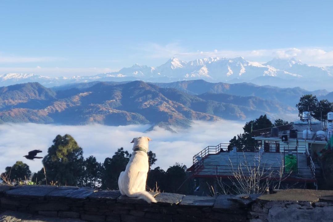 Photo of Others in Almora