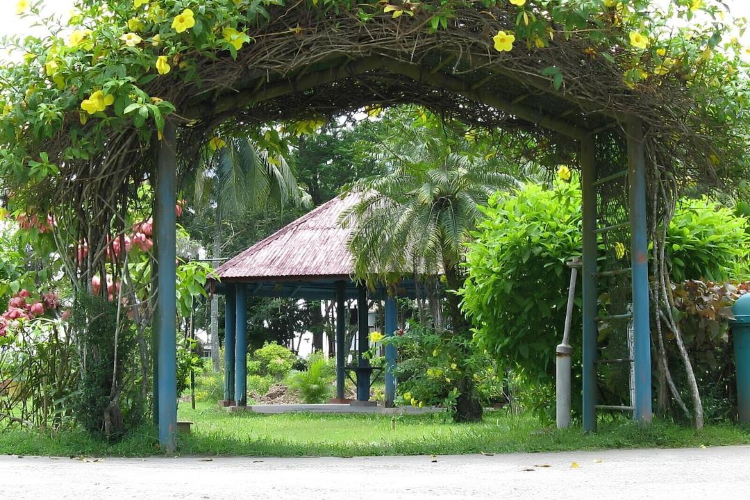 Photo of Others in Port Blair