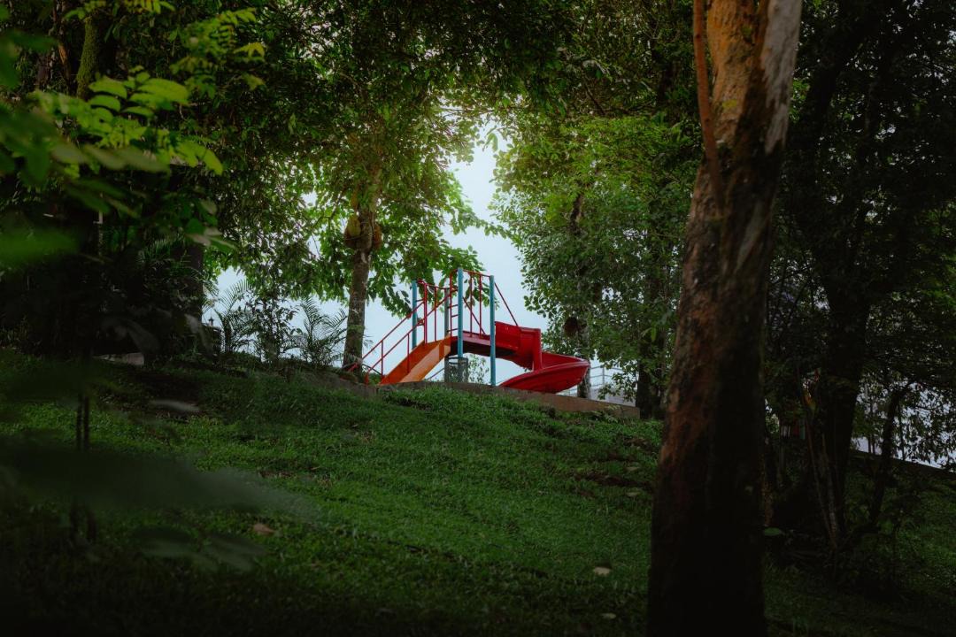 Photo of Others in Chinnakanal