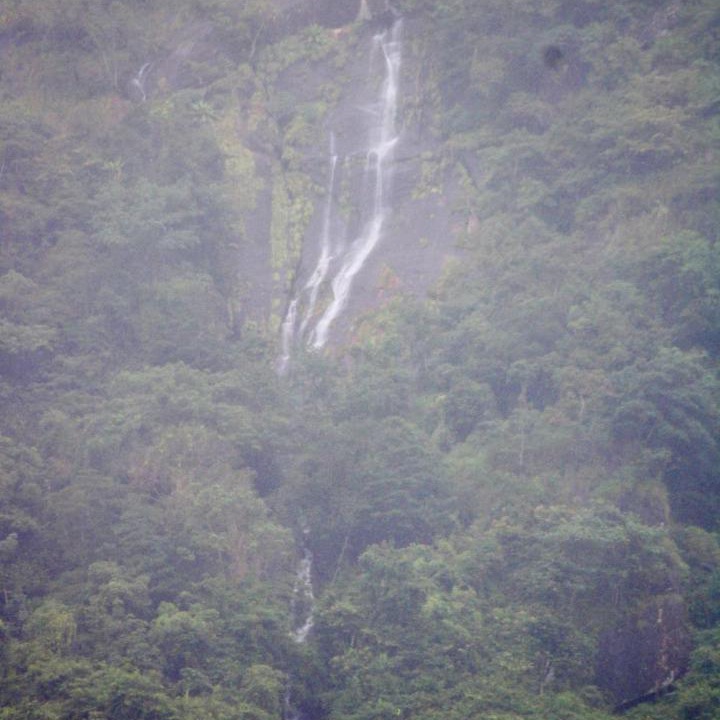 Photo of Others in Todupulai