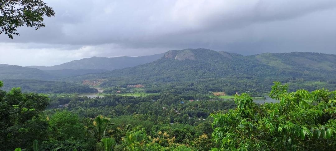 Photo of Others in Todupulai