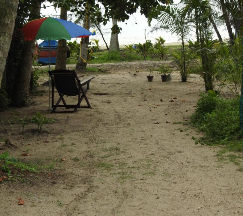 Photo of Others in Mararikulam