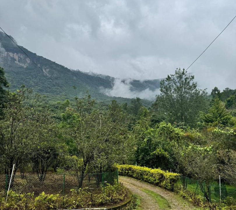 Photo of Outdoor in Kanthalloor