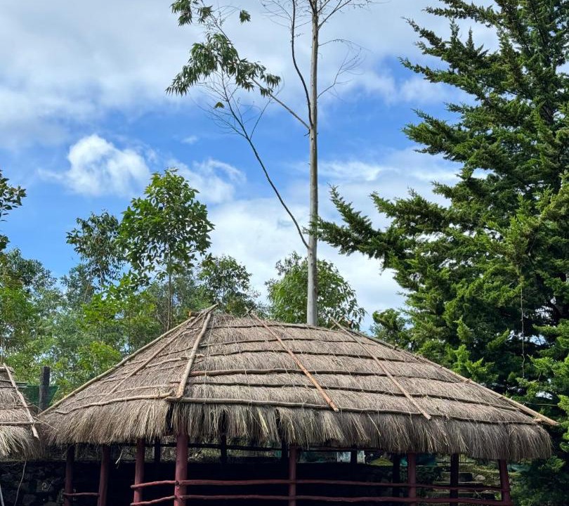 Photo of Others in Kanthalloor