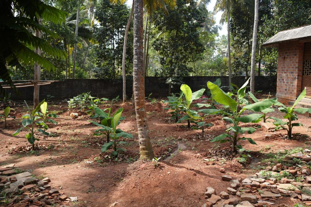 Photo of Others in Chowara