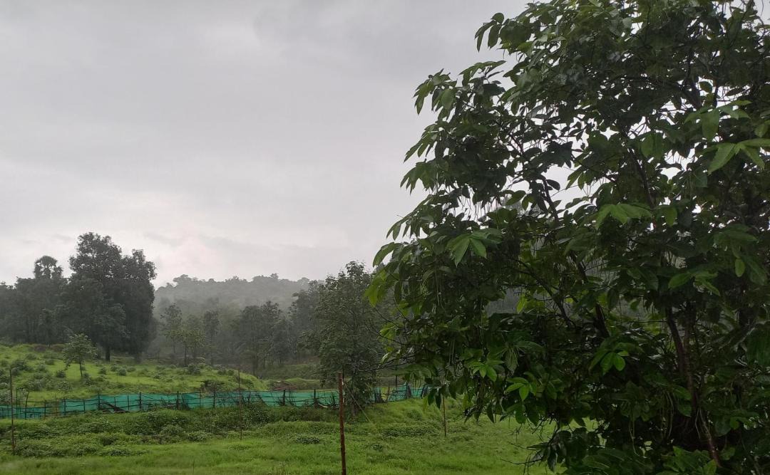 Photo of Others in Karjat