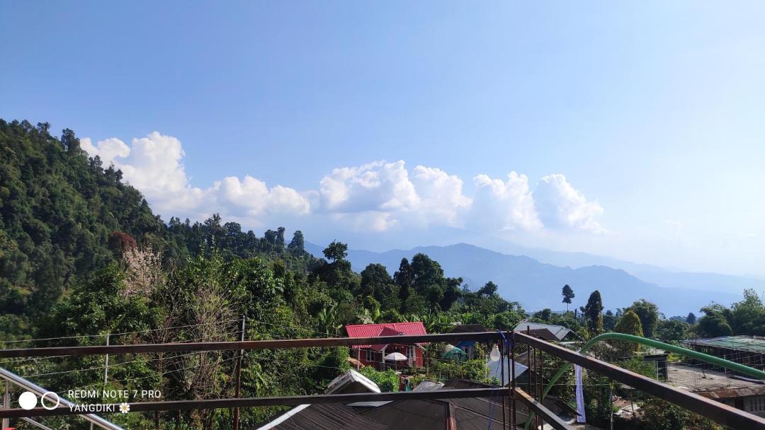 Photo of Others in Kumai