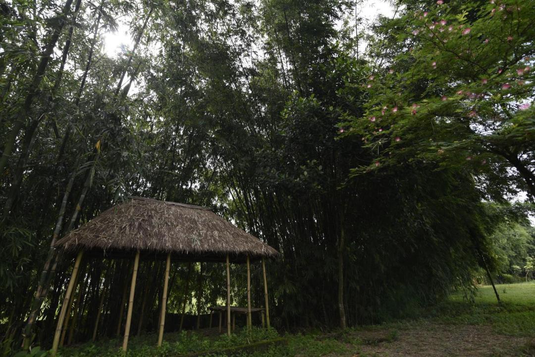 Photo of Others in Jalpaiguri