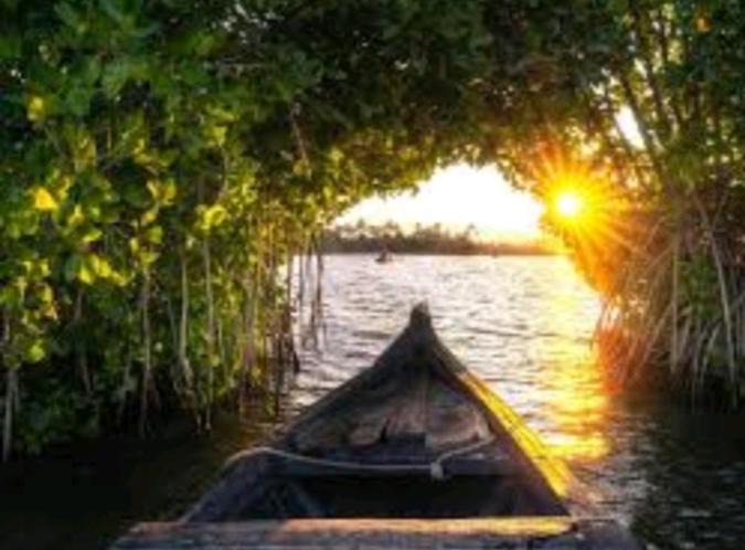 Photo of Others in Munroe Island