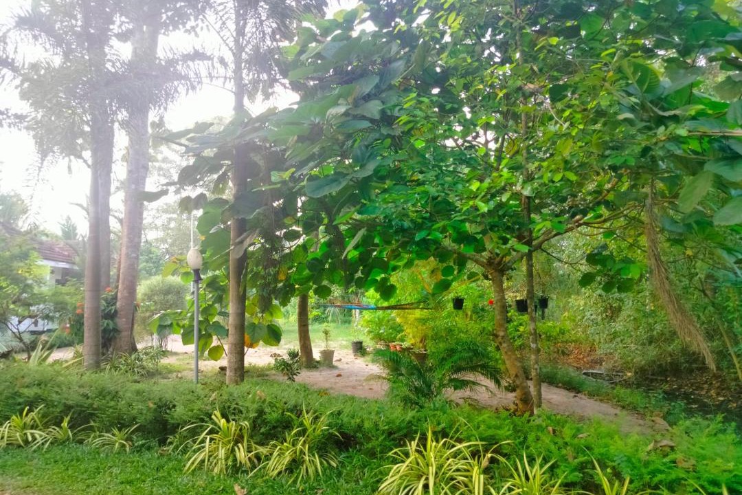 Photo of Outdoor in Alappuzha