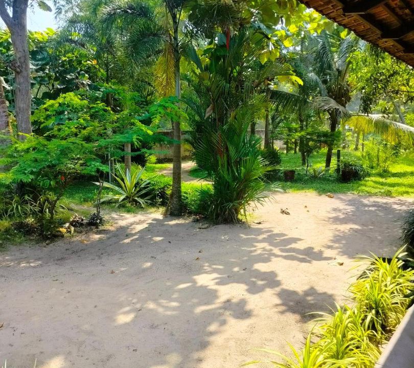 Photo of Others in Alappuzha