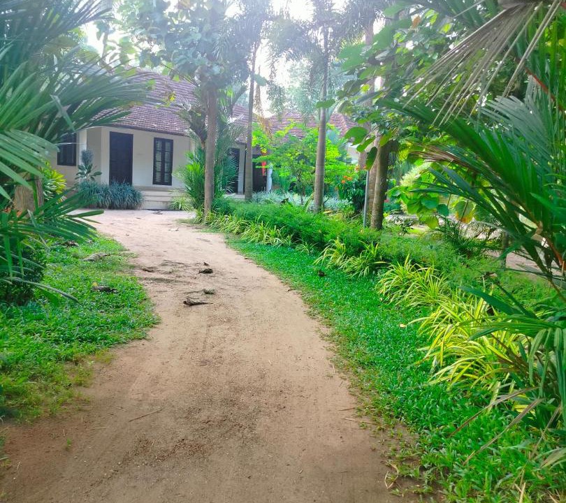 Photo of Others in Alappuzha