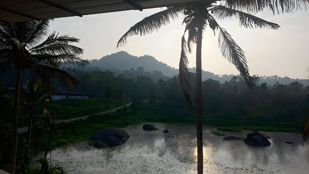 Photo of Outdoor in Kalpetta