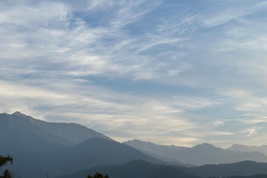 Photo of Others in Palampur