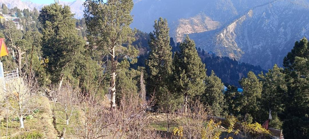 Photo of Others in Kalpa