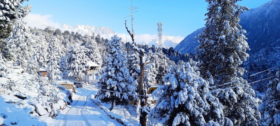 Photo of Others in Kalpa
