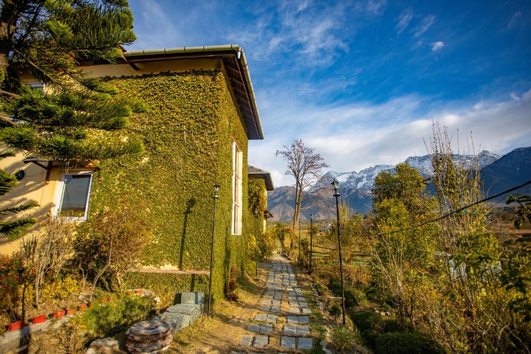 Photo of Others in Palampur