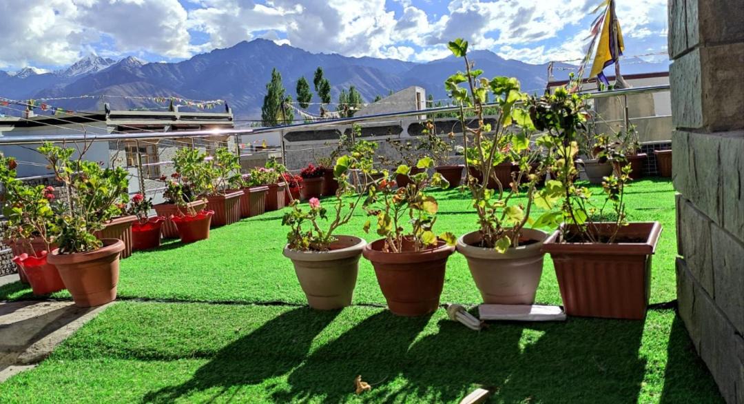 Photo of Others in Leh