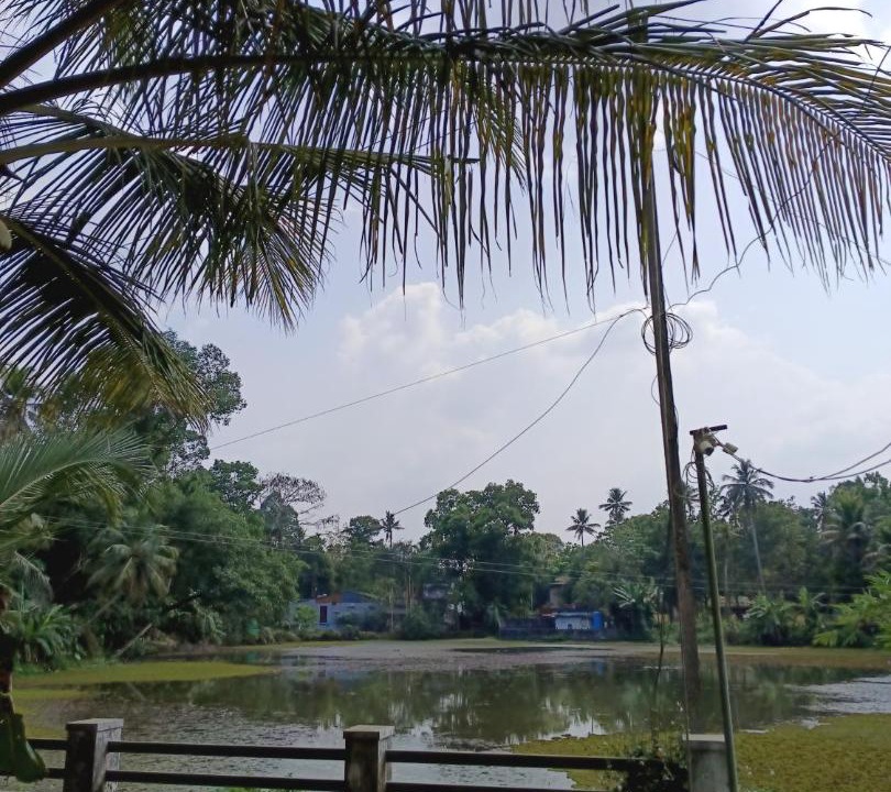 Photo of Others in Perumbavoor